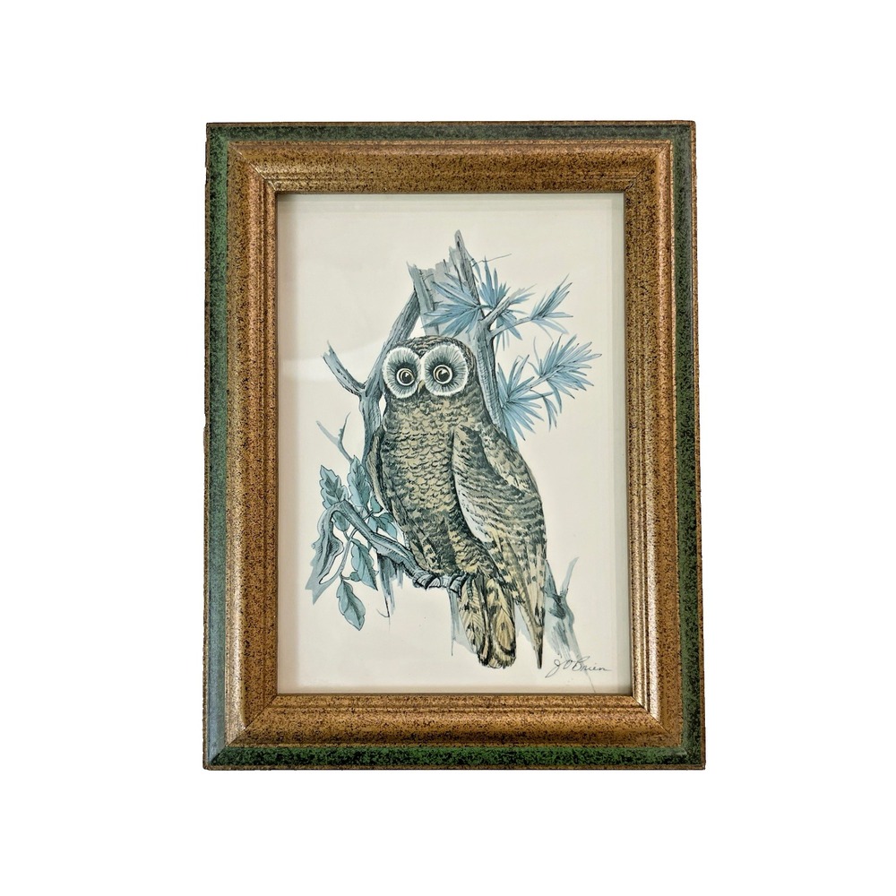 Vintage 70s J O'Brien Framed Lithograph Wide Eyed‎ Owl Green Gold Frame 6.5x8.5"